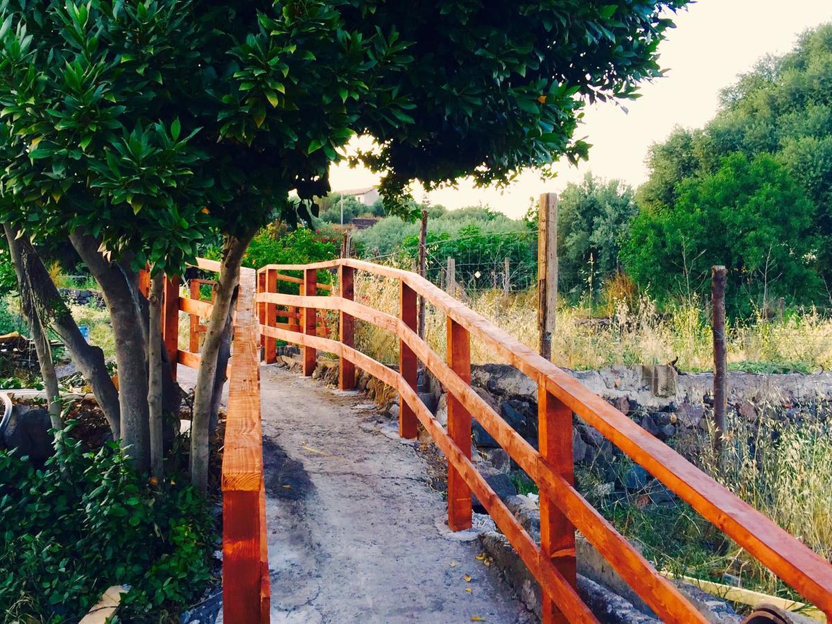 Agriturismo Biologico Corte Aragonese Santa Maria di Licodia Exteriör bild